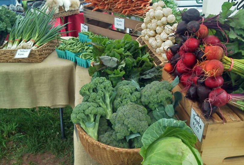 Meet the Farmer: Alex Sawatzky, Sandbrook Meadow Farm