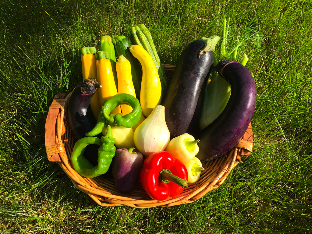 Summer Vegetables: Grill-Ready and Delicious!