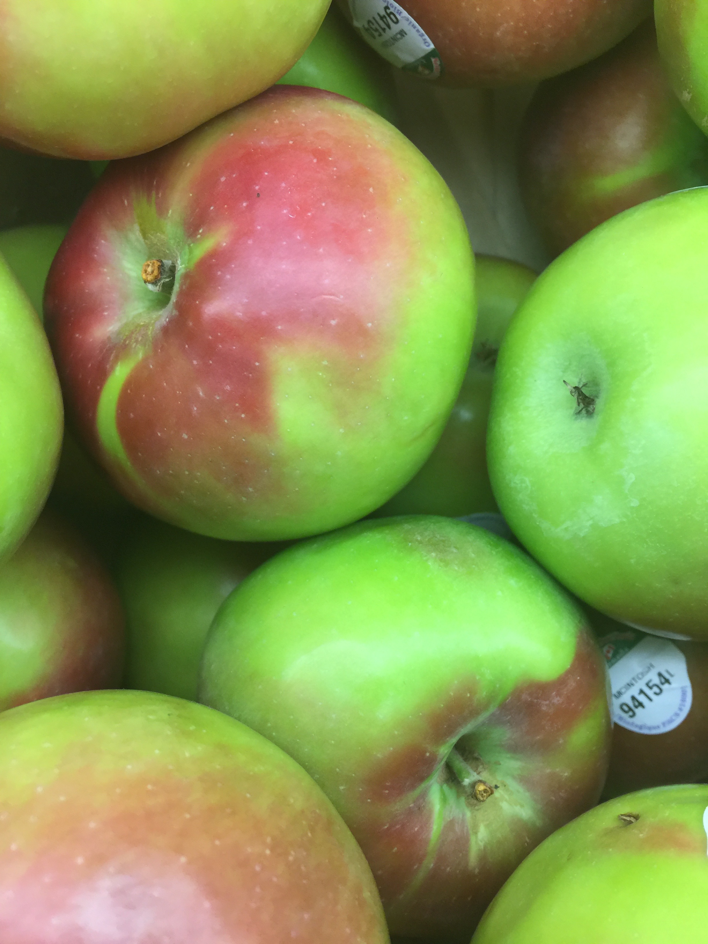 Apple LOVE Recipes!