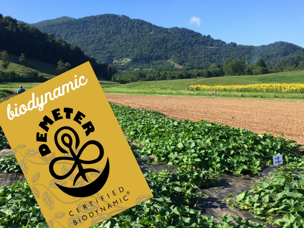 Bio Dynamic: Above and Beyond Organic