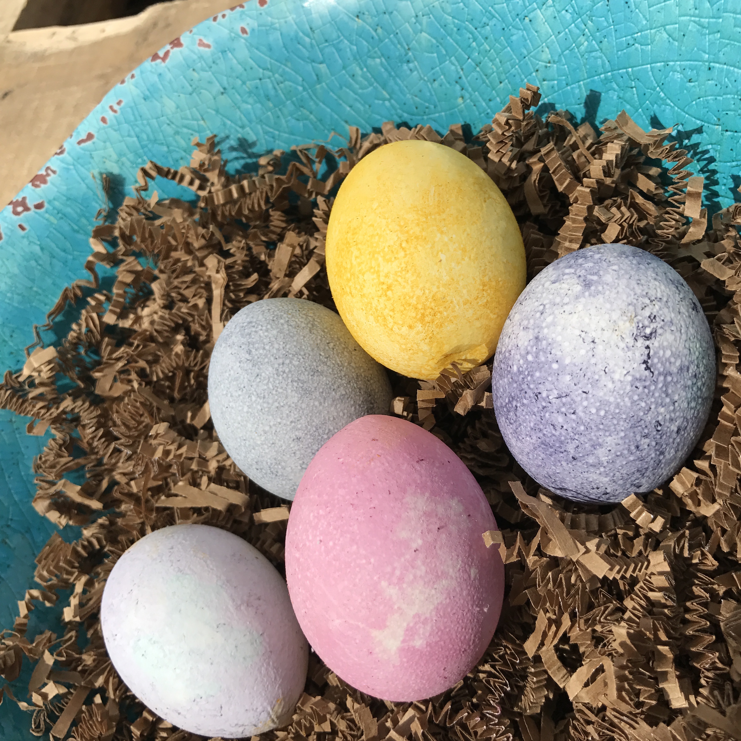 Natural Egg Dyeing