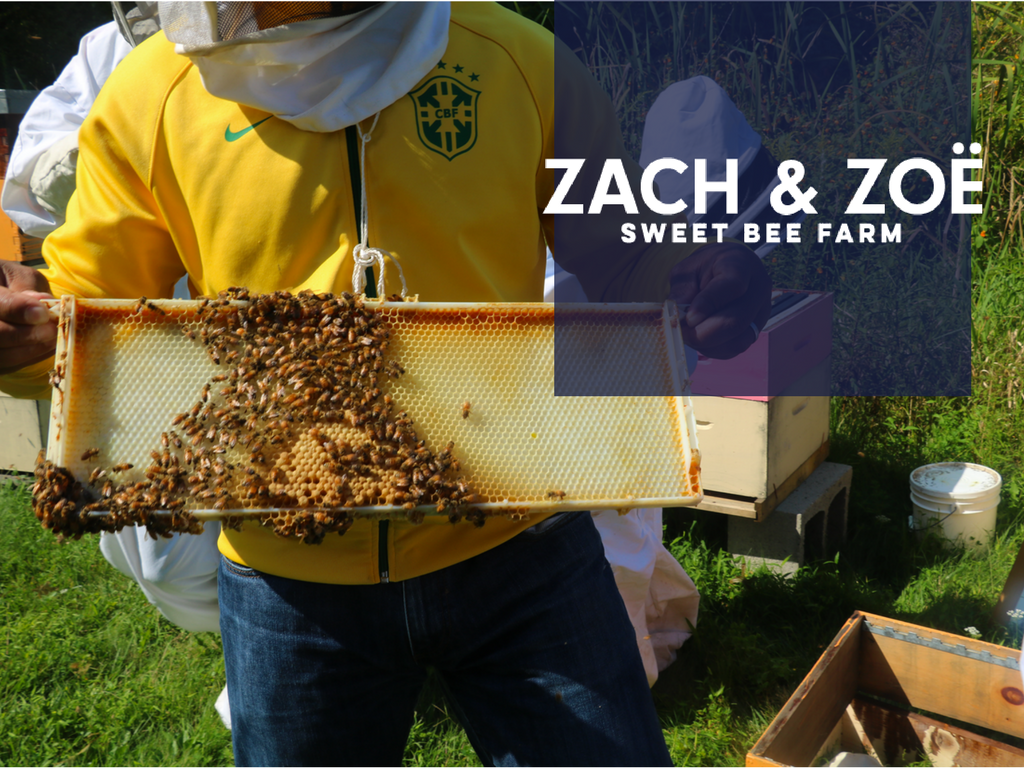 Zach and Zoe Sweet Bee Farm