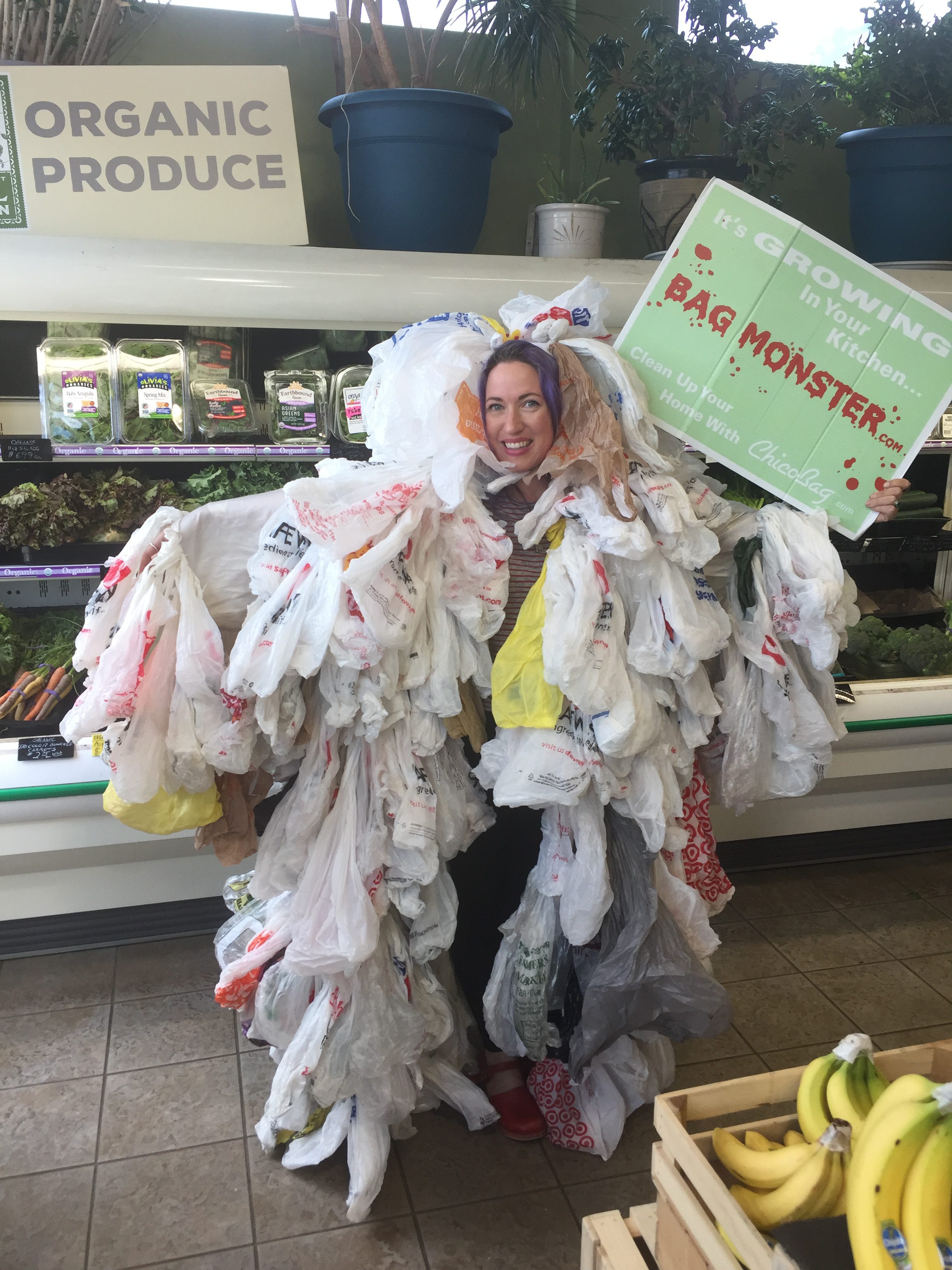Plastic Bags: Putting an End to the Bag Monster We’ve Created
