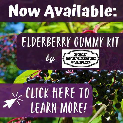 Now Available: Elderberry Gummy Kits!