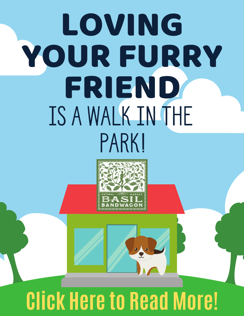 Loving Your Furry Friends is a Walk in the Park!