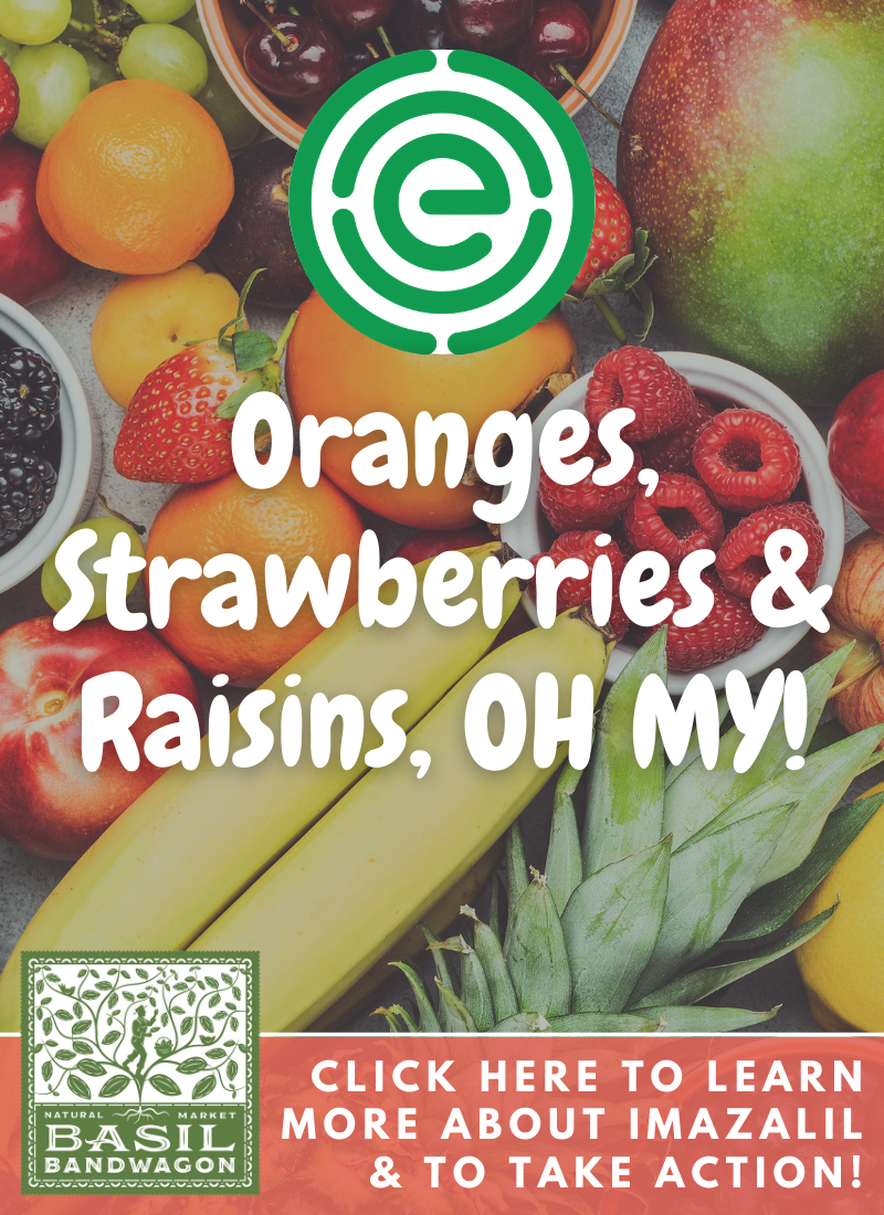 Oranges, Strawberries and Raisins, OH MY!
