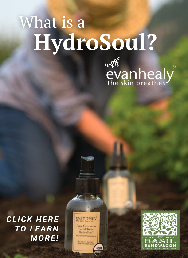 What is a HydroSoul?