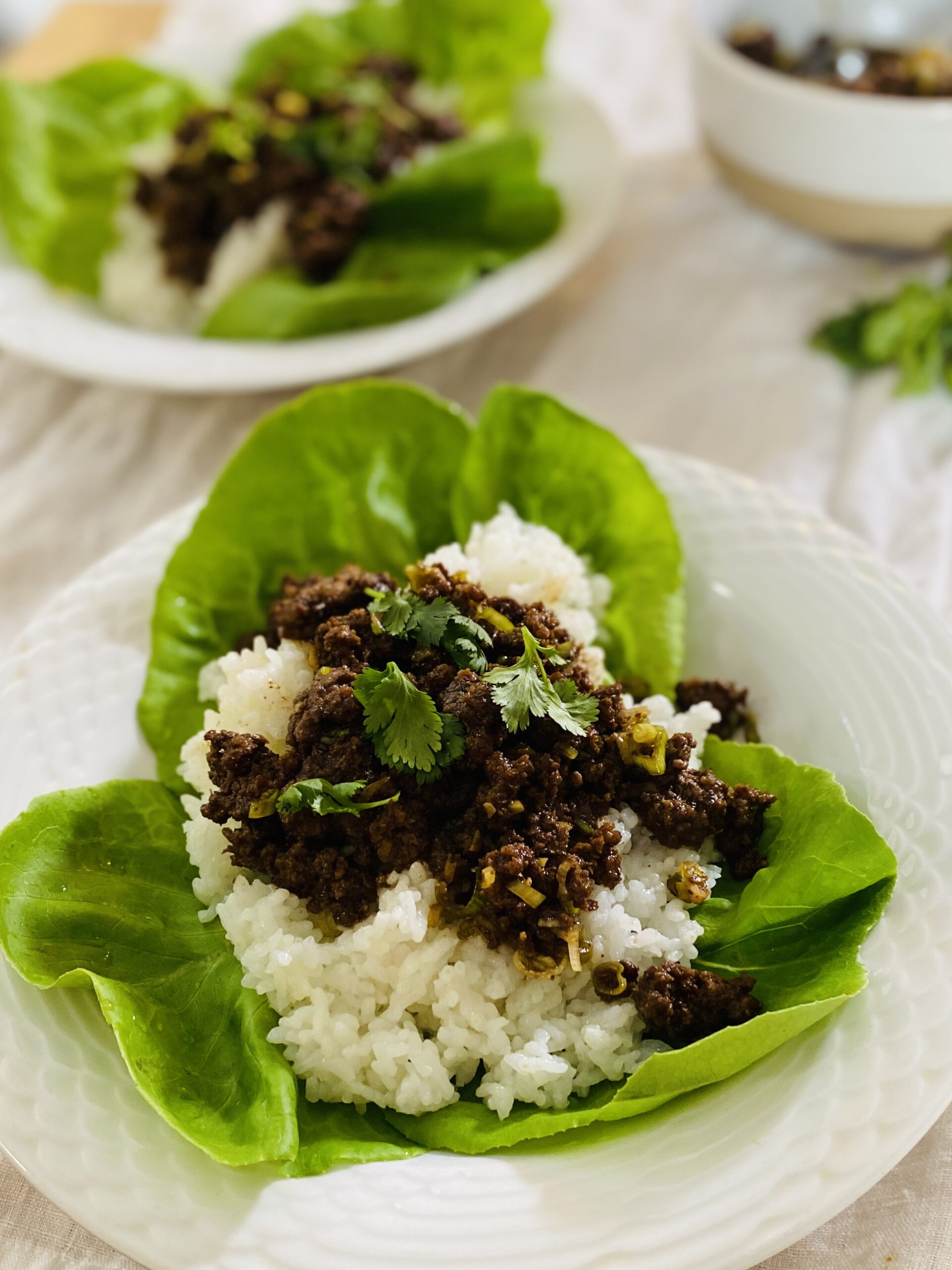 Korean Ground Beef Bowl