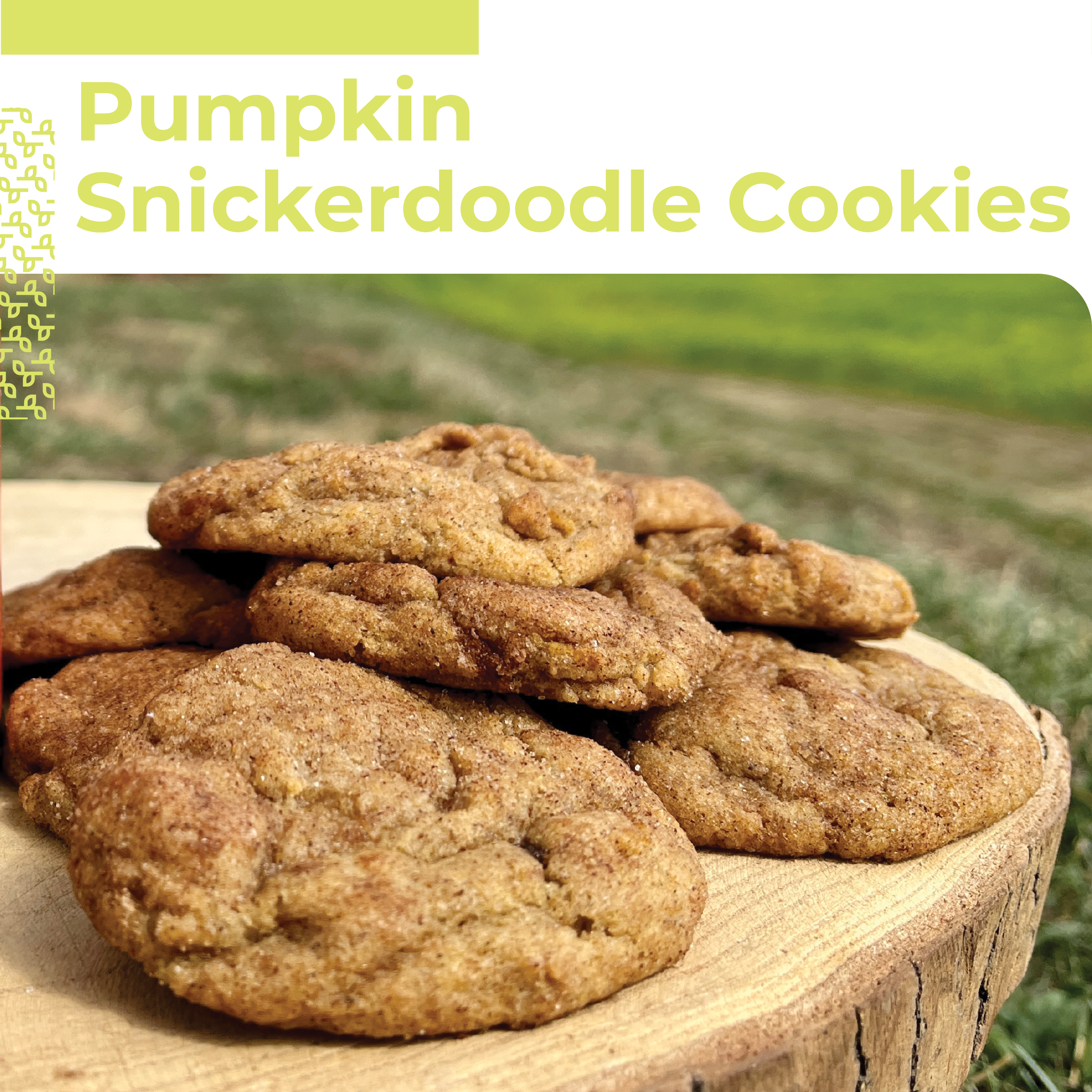 Pumpkin Snickerdoodle Cookies