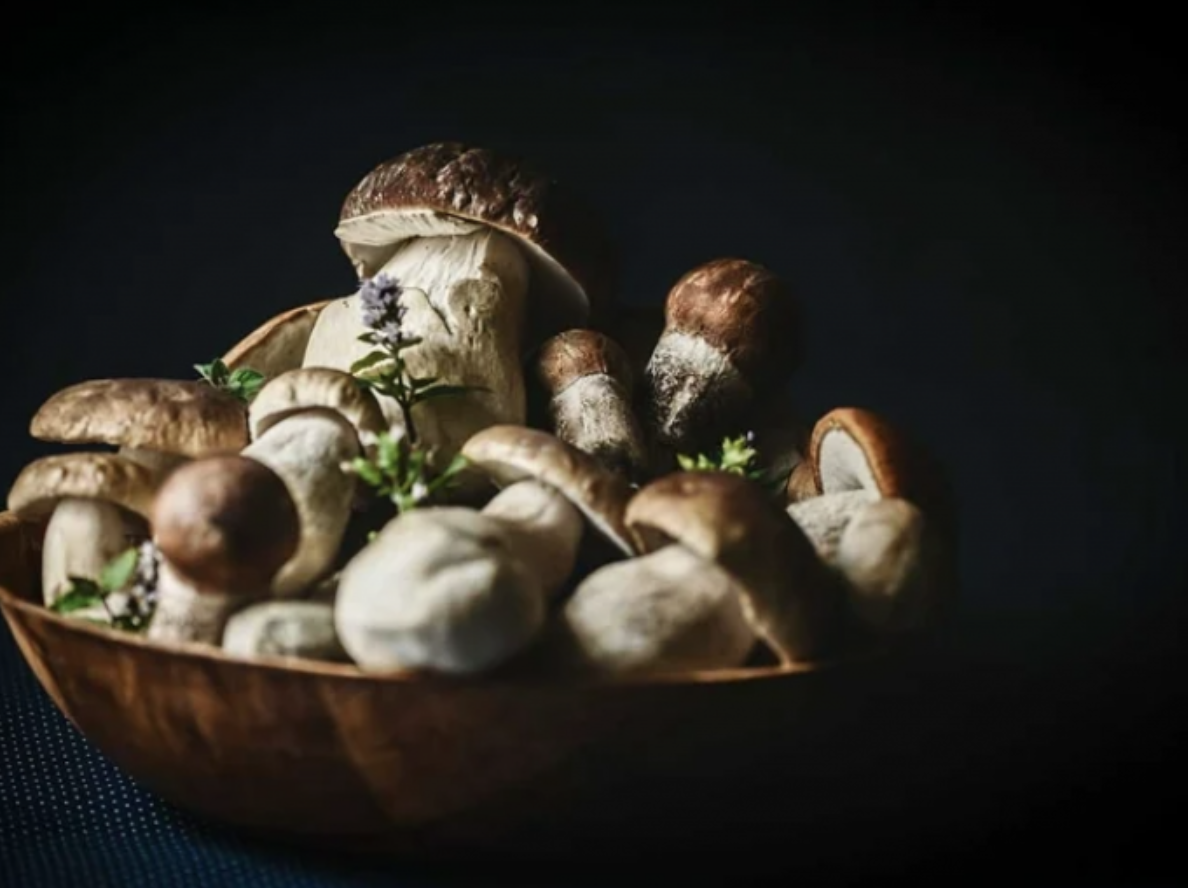 8 amazing health benefits of mushrooms