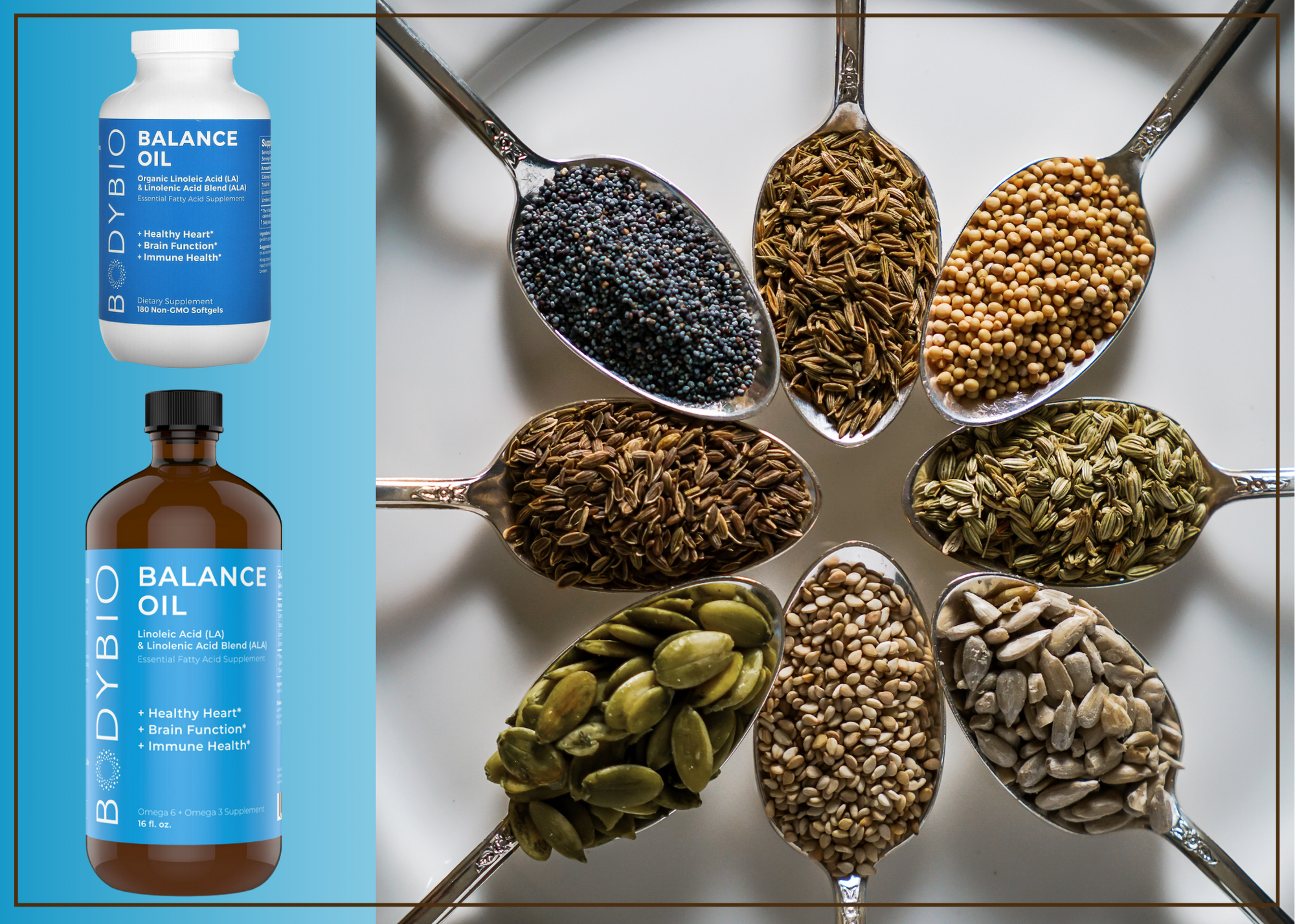 Seed Cycling: Using Essential Fatty Acids and Minerals for Hormone Balancing