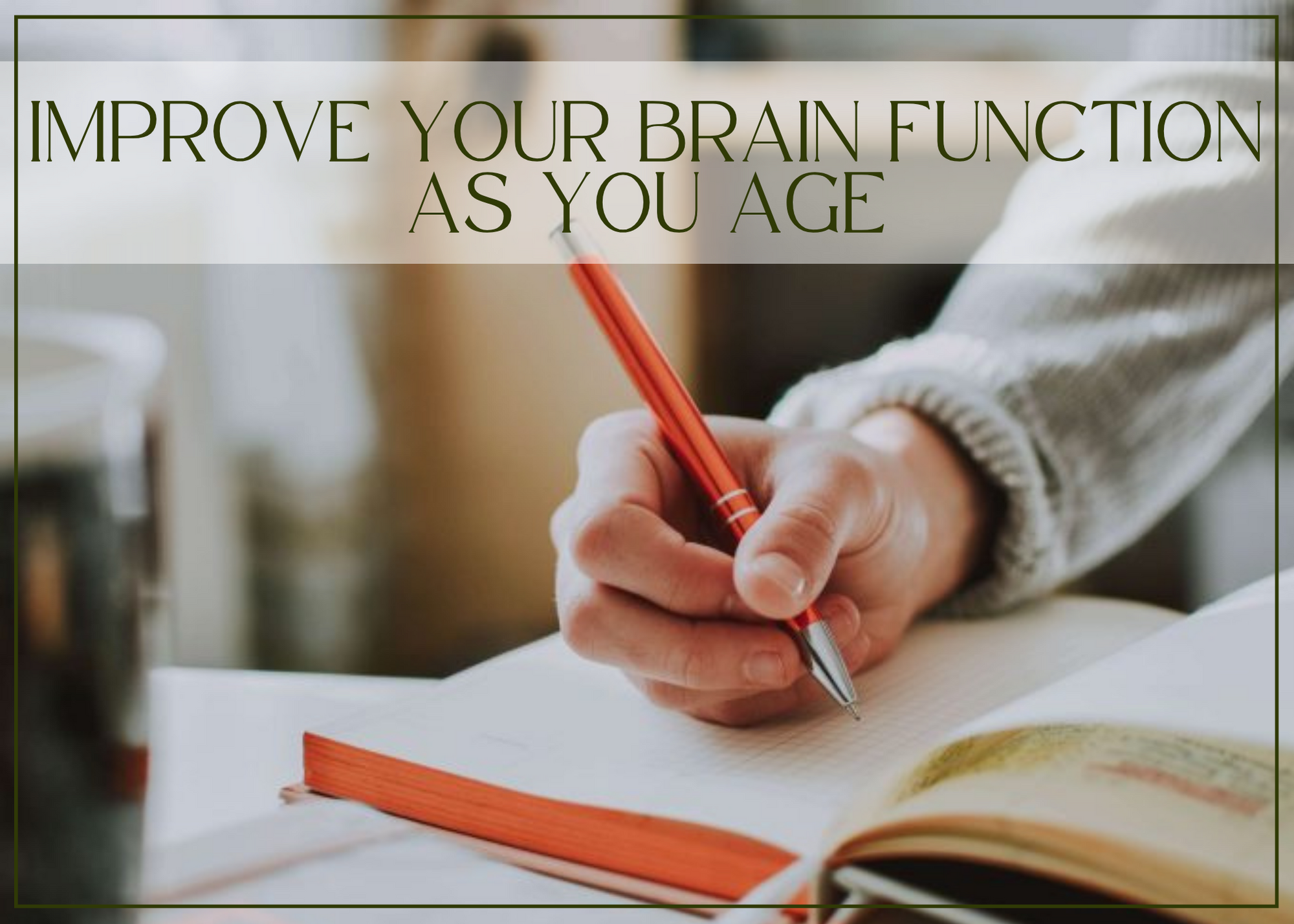 Improve your brain function as you age