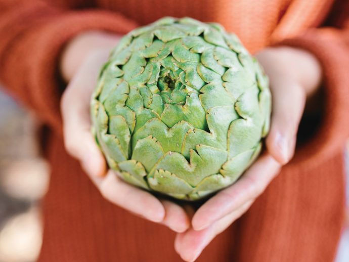 Nourish your microbiome