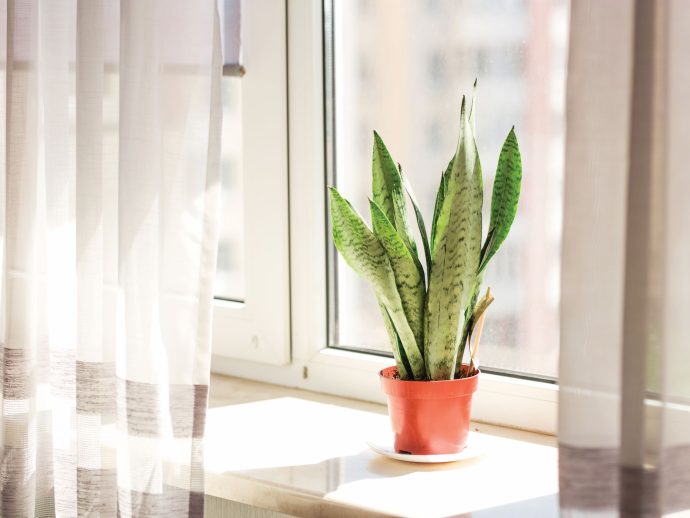 Bring the outdoors in!