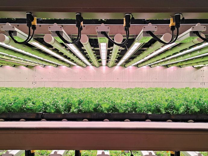 Cultivating sustainability