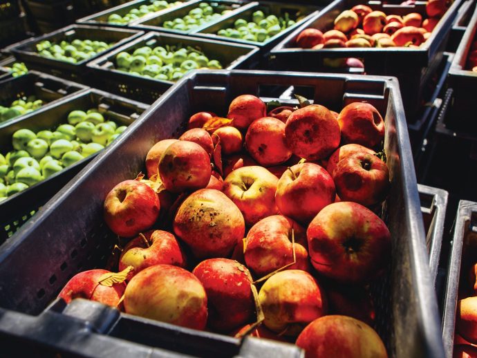 The upside of food upcycling