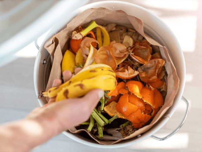 Food waste and packaging sustainability