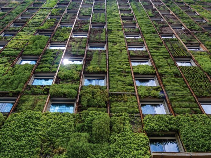 Greenifying the concrete jungle