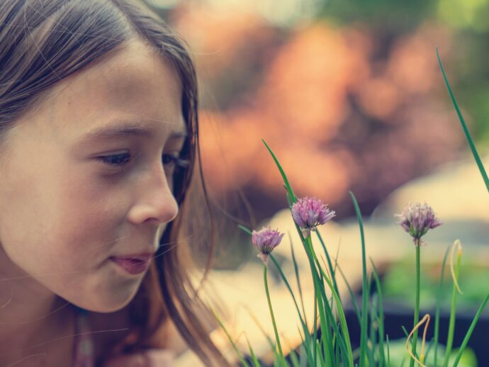 Children’s herbal head-start